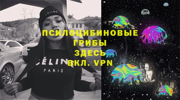 марки lsd Новозыбков