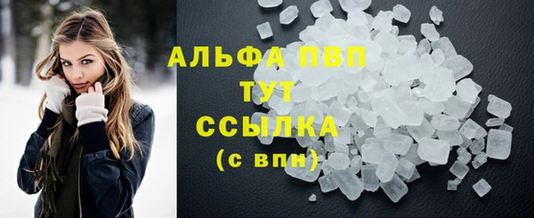 PSILOCYBIN Новодвинск